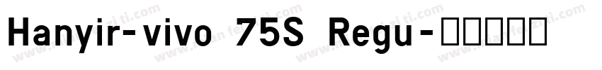 Hanyir-vivo 75S Regu字体转换